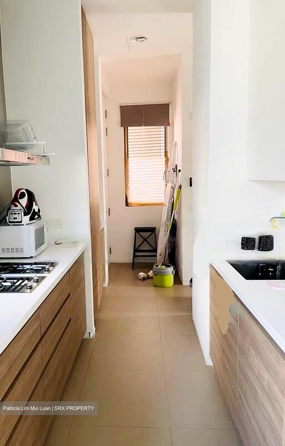 Leedon Residence (D10), Condominium #532861091